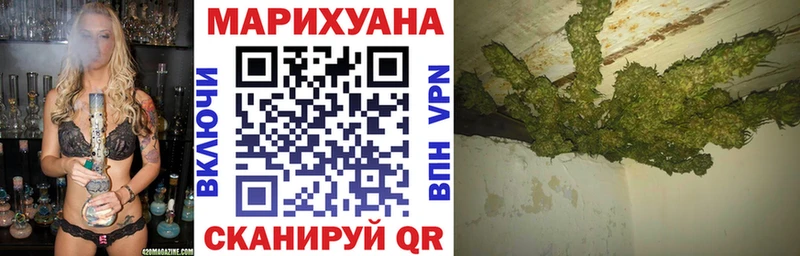 хочу   Николаевск  Шишки марихуана марихуана 